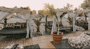 Service offered at Seaside Santorini Beach Bar Restaurant – BEACH & CABANAS